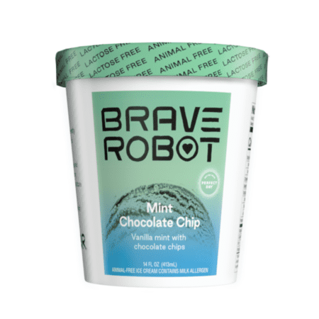 Mint Chocolate Chip by Brave Robot