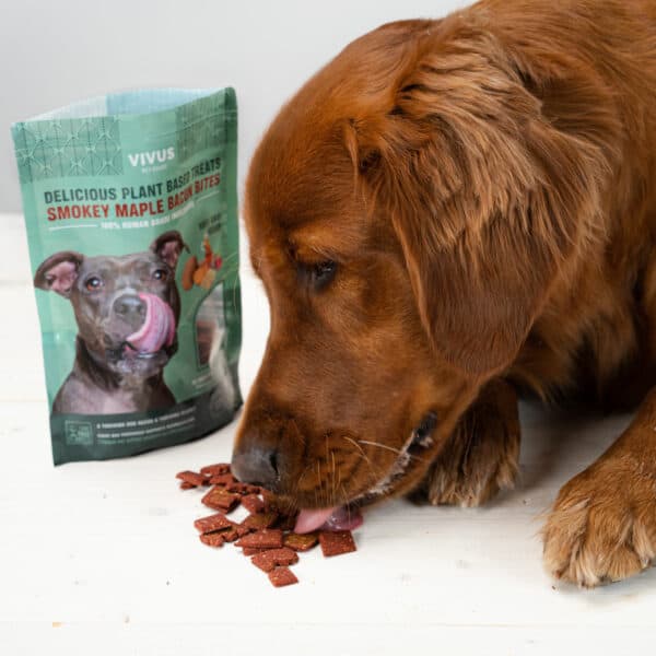 Vivus Pets Vegan Dog Treats Smokey Maple Bacun Bites