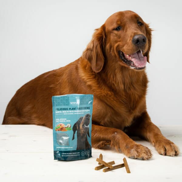 Vivus Pets Vegan Dental Chews Cinnamon Parsley Dental Chew