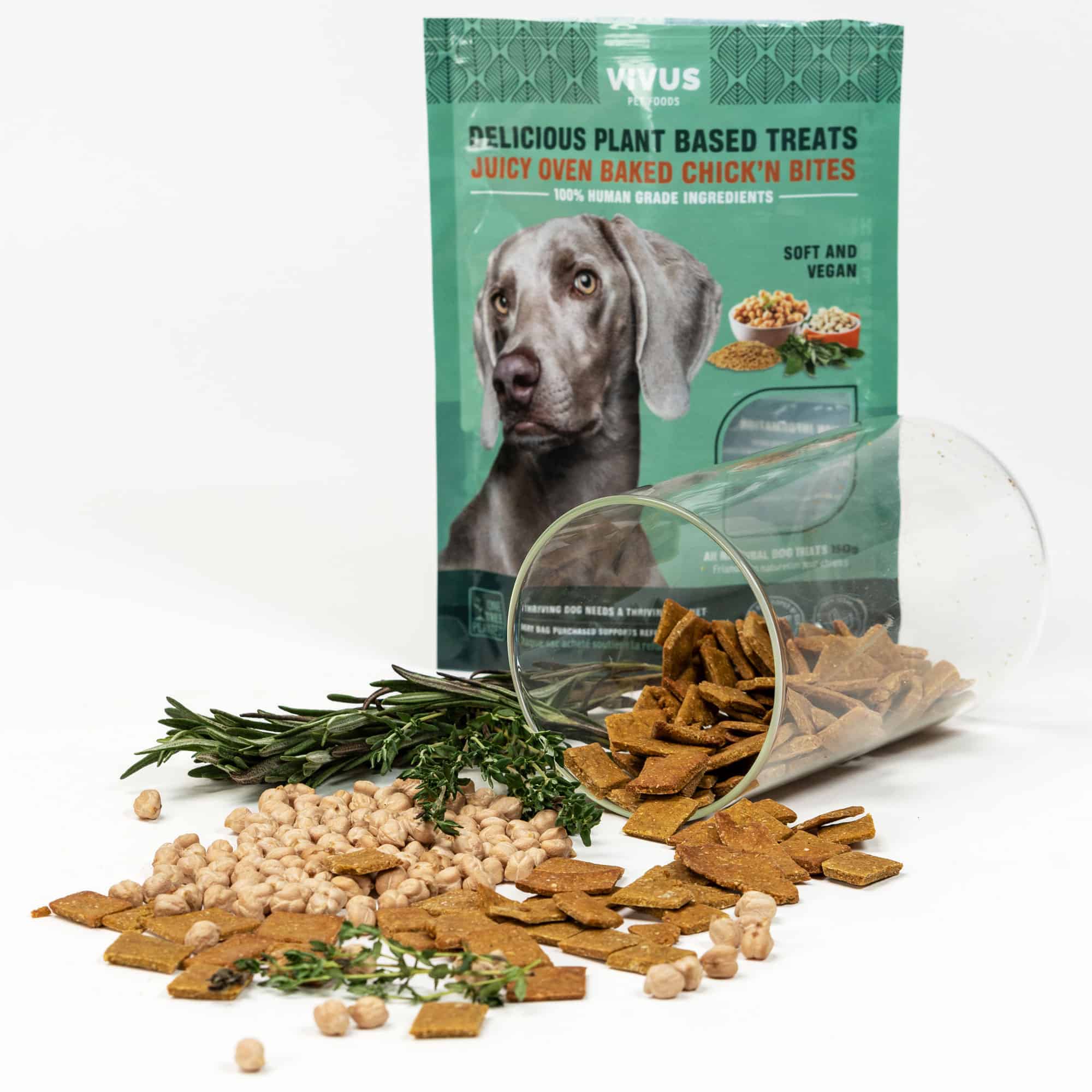Dairy-free Frozen Dog Treats - Making Thyme for Health