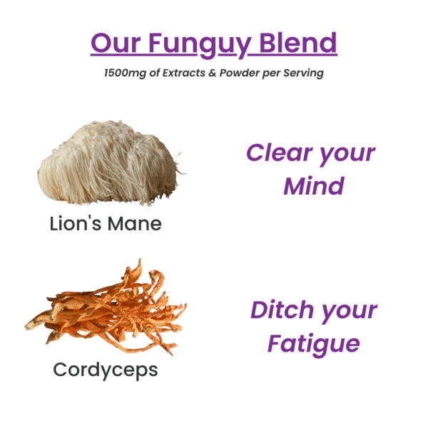 Organic Mushroom Ingredients